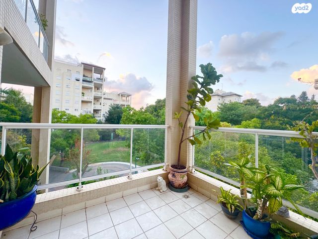 דירה, כפר סבא