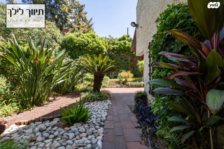 מגרשים, אלון, רמת השרון