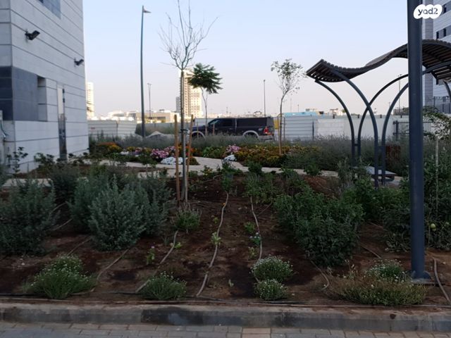 דירה, נחל ירקון, כרמי גת, קרית גת