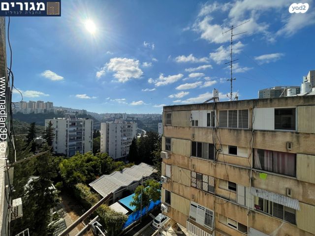 דירה, חניתה, חיפה