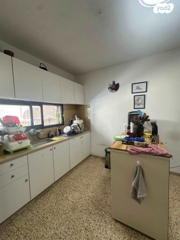 דירה, הכלנית, הפרחים, כפר סבא