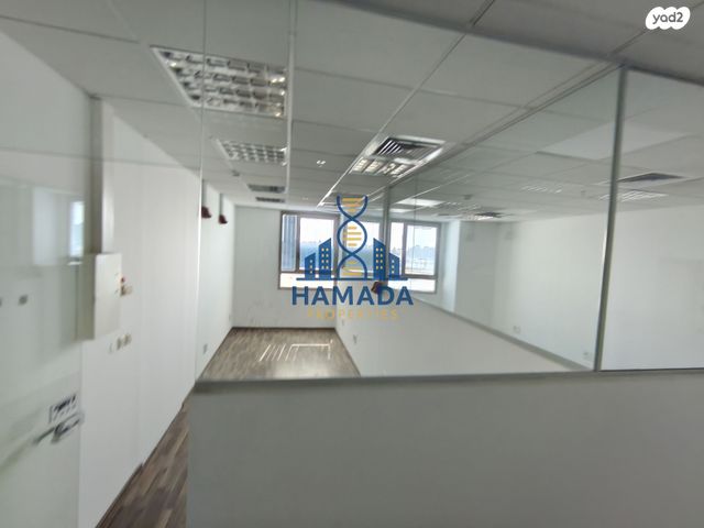 משרדים, גולדה מאיר, שאר העיר, נס ציונה