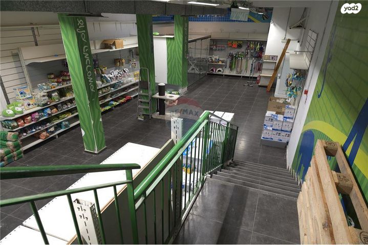 החשמונאים 105