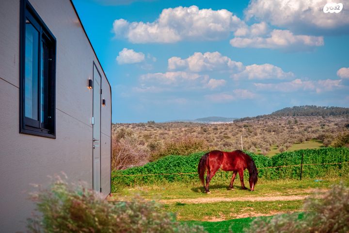 נגרר (קראוון נגרר)
