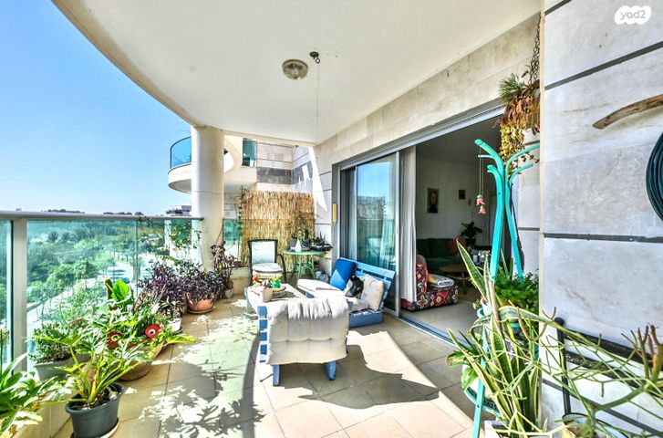 דירה, ארגמן, נס ציונה