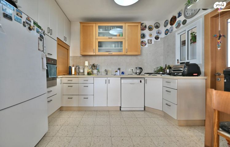 אהרון שקולניק 