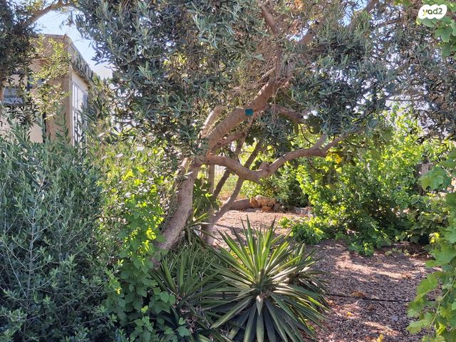 בית פרטי/ קוטג', שניר