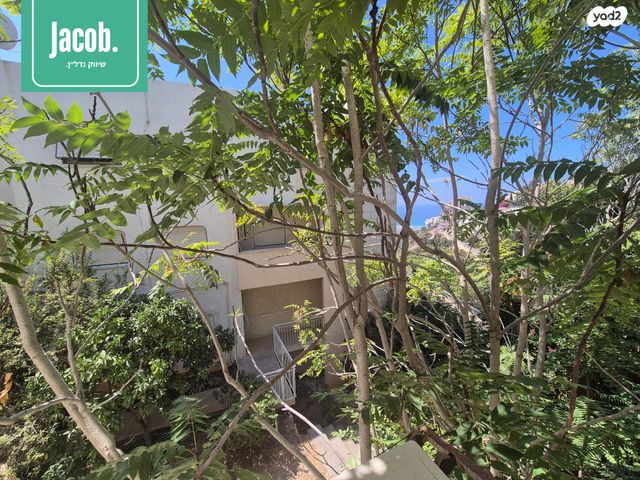 דירה, ויתקין, אחוזה, חיפה