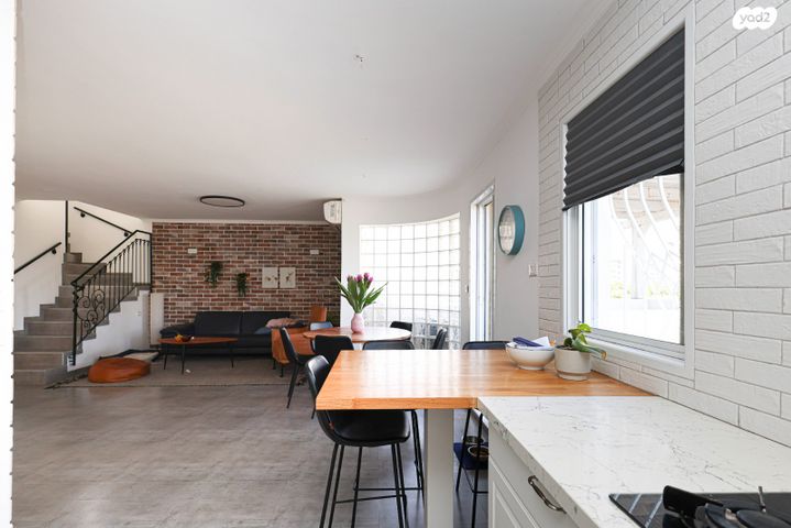 אירוס הארגמן 87