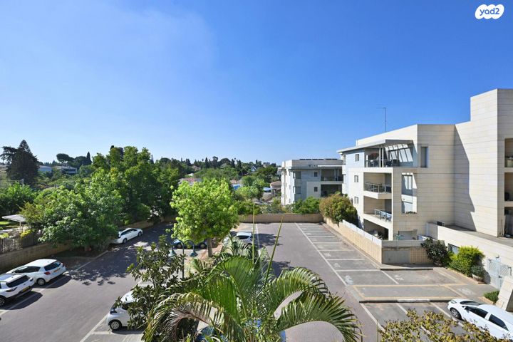 דירה, נס ציונה