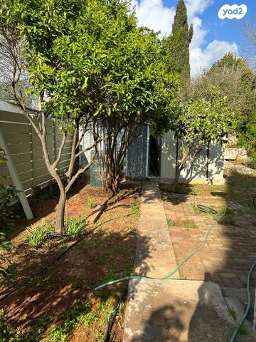 דו משפחתי, הארז, קציר, קציר