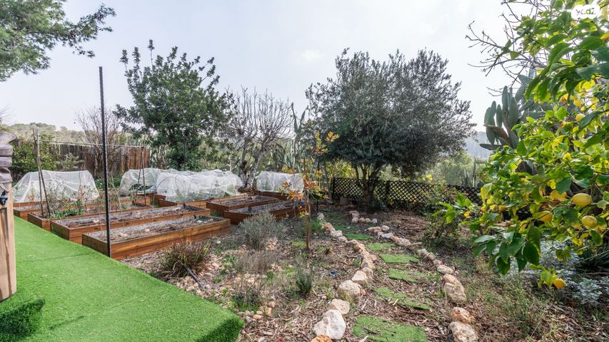 בית פרטי/ קוטג', שני ליבנה