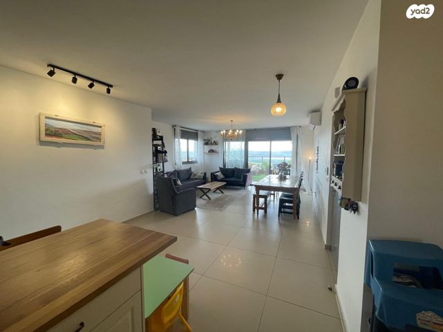 גג/ פנטהאוז, יקינטון, הפרחים, חריש