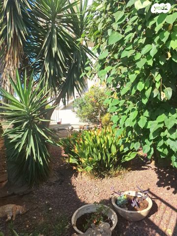 דירה, חטיבת אלכסנדרוני 26, גלי הים, נתניה