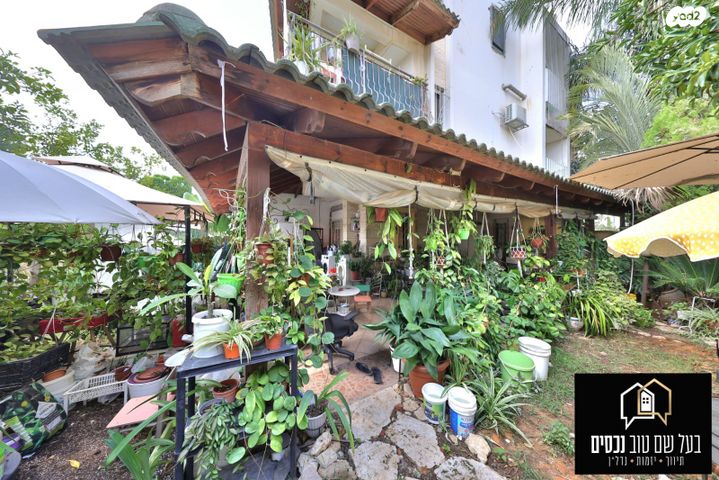 דירת גן, הנביאים, מרכז העיר, קרית אתא