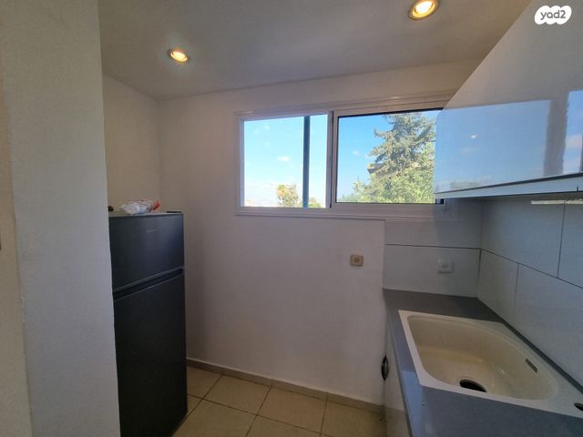 גג/ פנטהאוז, חיפה