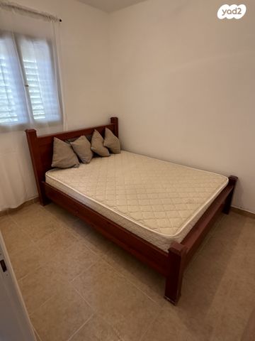 דירה, האלון 55, דימונה