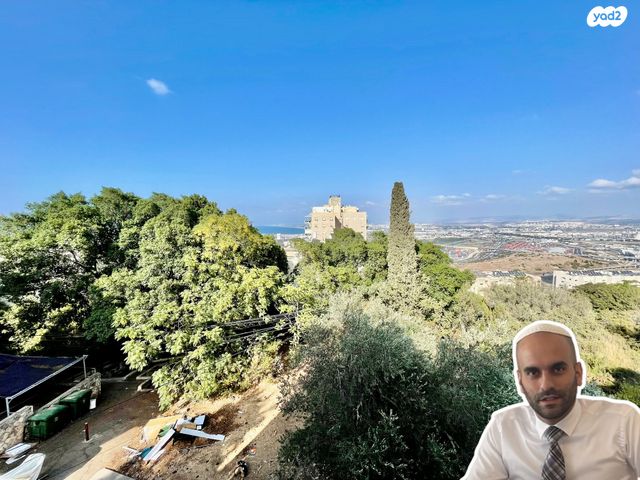 דירה, הגליל, נווה שאנן, חיפה