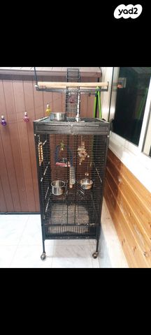 תמונת מודעה - חיות מחמד