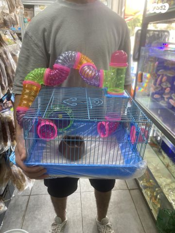 תמונת מודעה - חיות מחמד