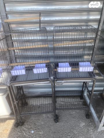 תמונת מודעה - חיות מחמד