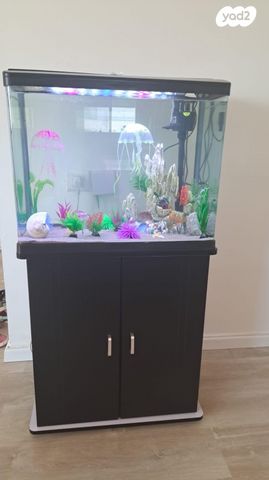 תמונת מודעה - חיות מחמד