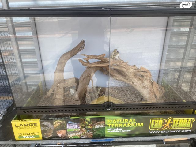 תמונת מודעה - חיות מחמד