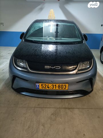 בי.ווי.די דולפין