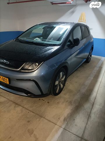 בי.ווי.די דולפין