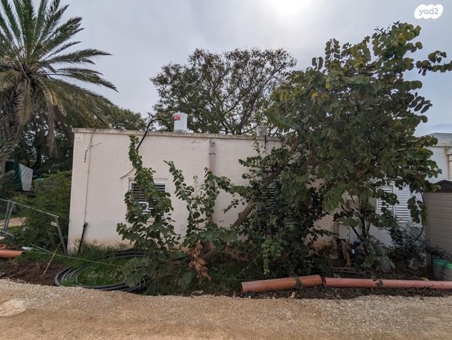 בית פרטי/ קוטג', עין כרמל 1, עין כרמל, עין כרמל