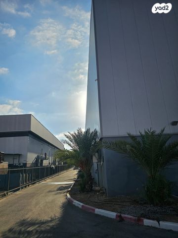 דרך החרושת 1