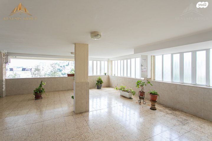 דירה, האסיף, חיפה