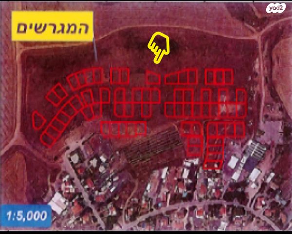 מגרשים, זוהר