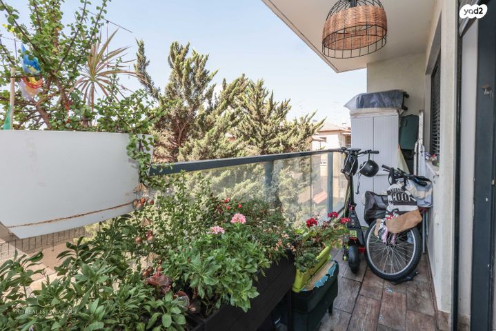 שועלי שמשון 