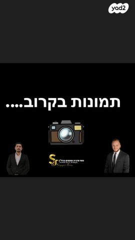 דוד טבצ'ניק 2