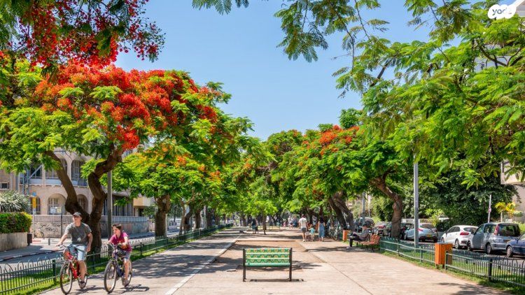 דירה, שדרות רוטשילד, לב תל אביב, לב העיר צפון, תל אביב יפו