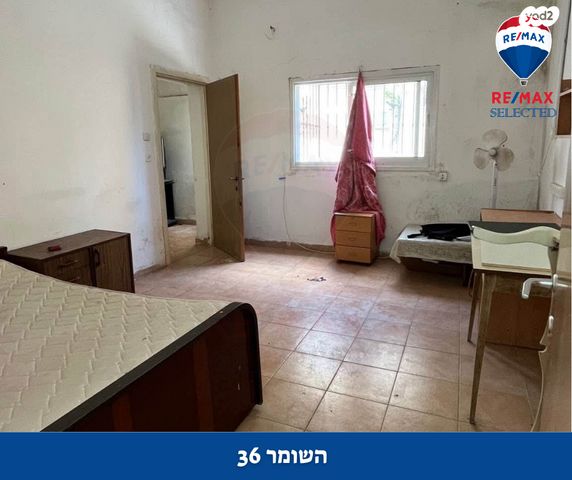 דירה, השומר, יל"ג, חיפה