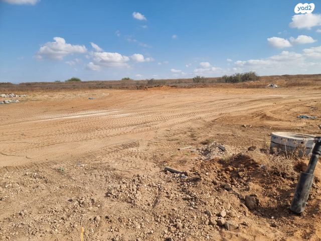 מגרשים, זוהר