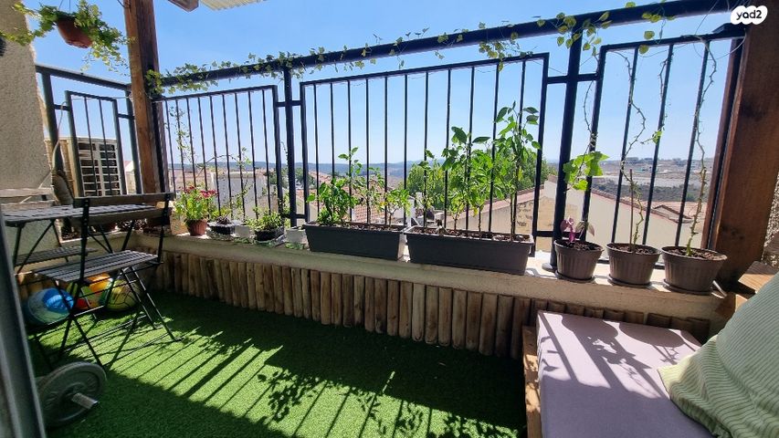 גבעת אלונים