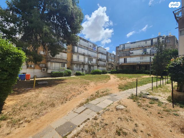 דוד וולפסון 