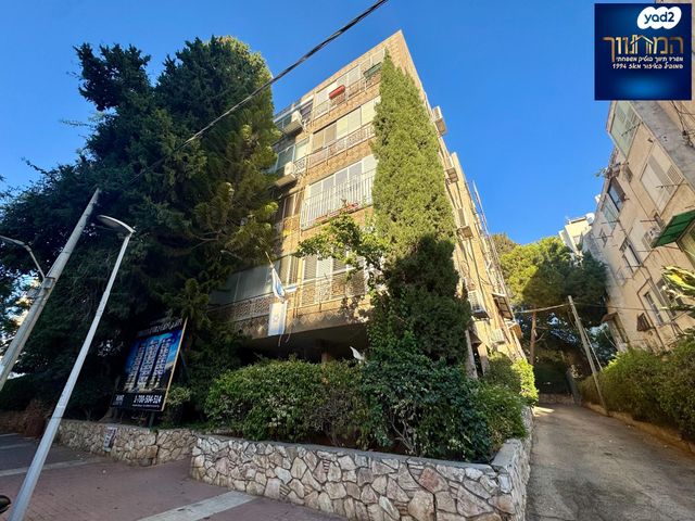 חבצלת השרון 