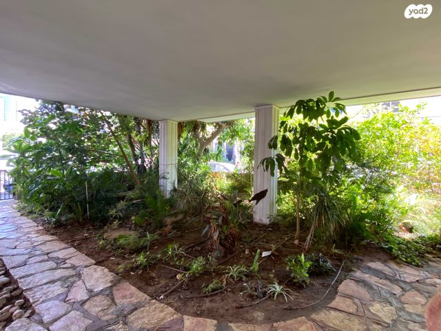 דירה, דרויאנוב, הצפון הישן - דרום, תל אביב יפו