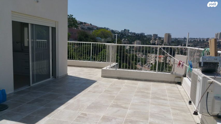 נתיב הארזים 