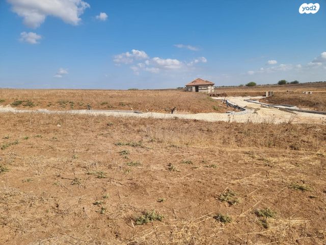 מגרשים, זוהר