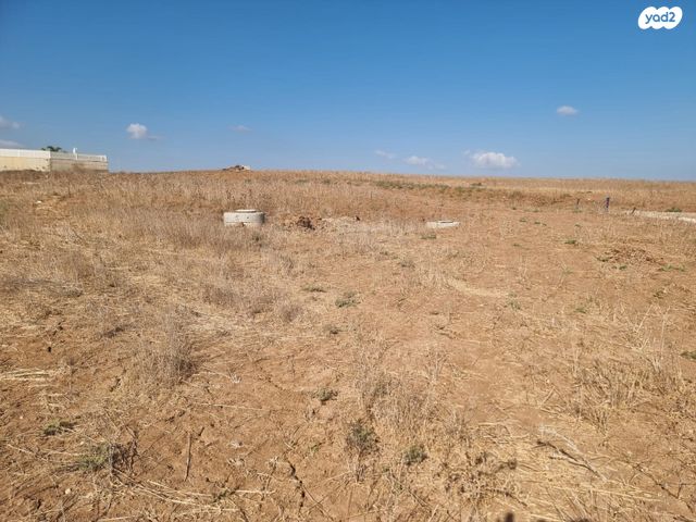 מגרשים, זוהר