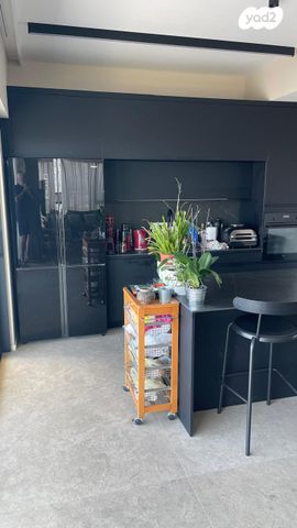 גג/ פנטהאוז, אריק איינשטיין 3, דרום חדש, פארק הים, בת ים