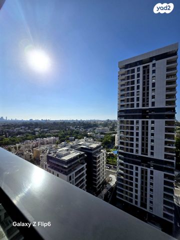 ראול ולנברג 33