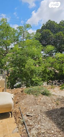 דירה, יפה נוף, הראשונים, שלומי