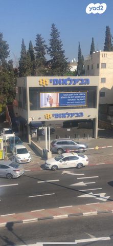 משרדים, נתן קומוי, זיו, חיפה