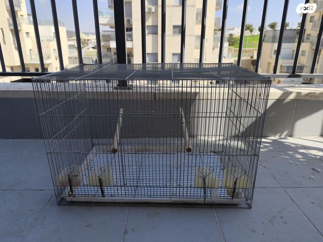 תמונת מודעה - חיות מחמד